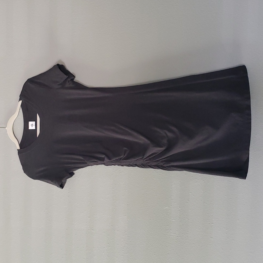 Cabi Weekend Dress